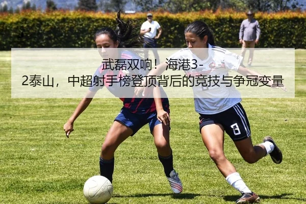 wu-lei-shuang-xiang-hai-gang-tai-shan-zhong-chao-she-shou-bang-deng-ding-bei-hou-de-jing-ji-yu-zheng-guan-bian-liang-3-458.jpg